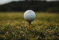 Personalised golf balls (temporary placeholder image)